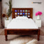 Chitra Solid Wood Sheesham  Single Bed