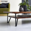 Ojal Solid Wood Sheesham Coffee Table