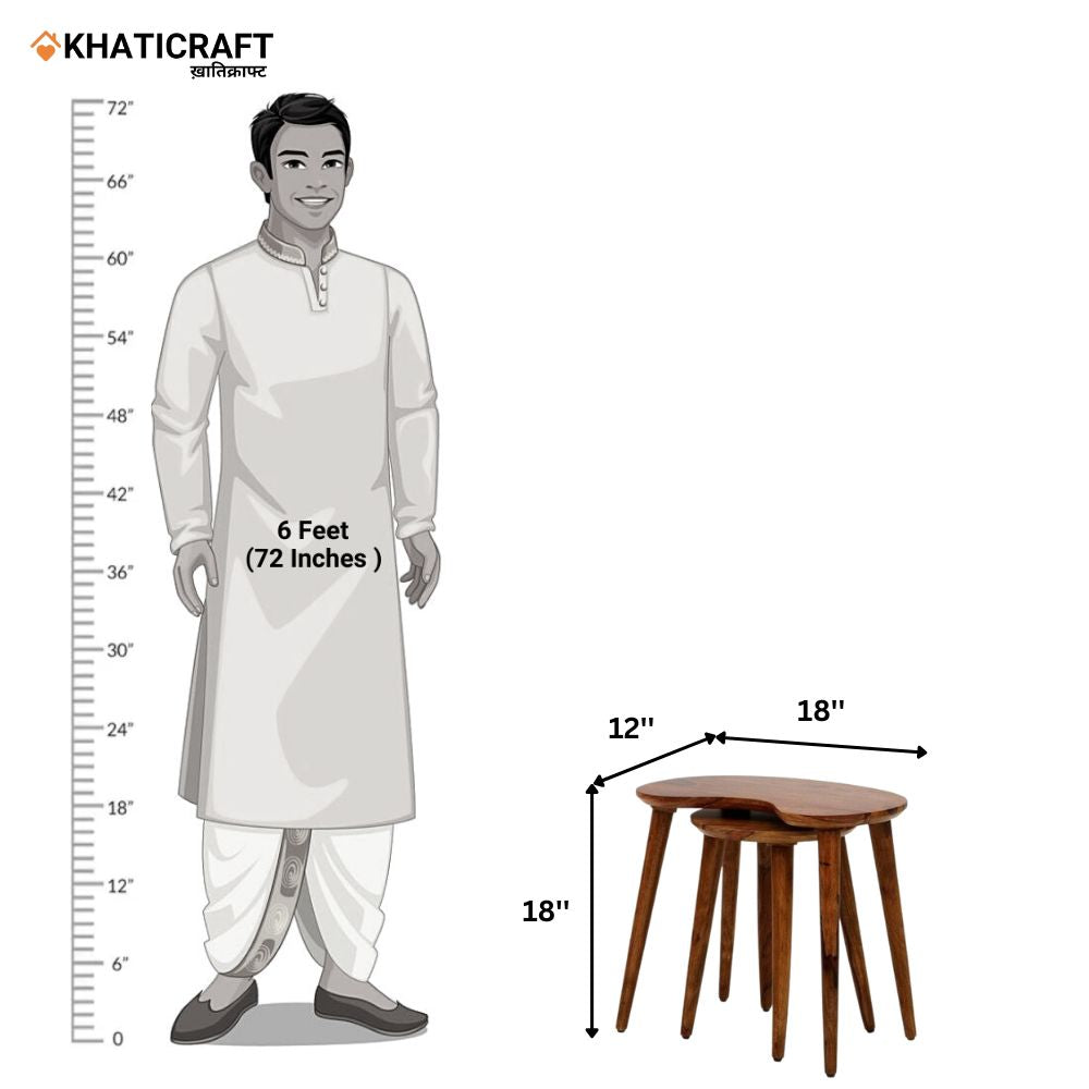 Chavi Solid Wood Sheesham Nested Stool Set