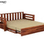 Molai Solid Wood Sheesham Sofa Cum Bed