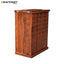 Stupa Double Door Solid Wood Sheesham Bar Cabinet