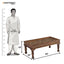 Tamra Solid Wood Sheesham Coffee Table