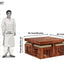 Ulka Solid Wood Sheesham Nested Coffee Table Set of 5(1+4)