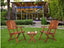 Vina Sheesham Wood Folding Chair