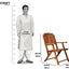 Vina Sheesham Wood Folding Chair