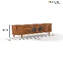 Navya TV Unit 9.webp
