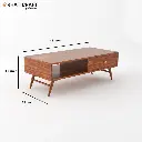 Chavi Coffee Table -6