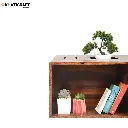 Arya Coffee Table-2