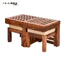 Dhara Nested Coffee Table (1+2)-3