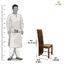 Hana Sheesham Wood Chairs Set Of 2