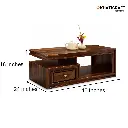 Ziya Coffee Table by khaticraft