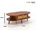 Subh Coffee Table