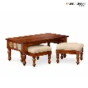 Chitra Nested Coffee Table Set of 3(1+2)