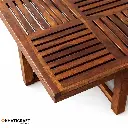Dhara Nested Coffee Table Set of 5(1+4) By khaticraft