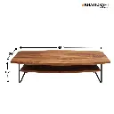 Ojal Coffee Table.webp