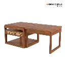 Anira Coffee Table (5).webp