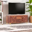 Antara TV Unit-2