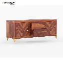 Antara TV Unit-6