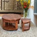 Chakra Nested Coffee Table Set of 5(1+4)