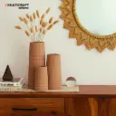 Vena Vase Set of 3
