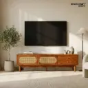 Maya TV Unit