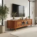 Navya TV Unit