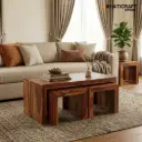 Hola Nested Coffee Table 1+2