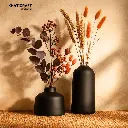 Duluka Vase set of 2